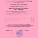 Александр:  Аудитор консультант / Финансовый аналитик