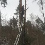 Сергей:  Удаление Деревьев 