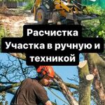 Альберт Раисович Заббаров:  Расчистка участка, спил деревьев