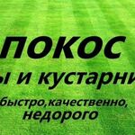 Евгений:  Покос травы и газонов Наро- Фоминск, Апрелевка, Селятино.