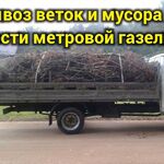 Даниил:  Спил деревьев