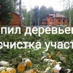 Александр:  Спил деревьев в Покровском. Утилизация веток