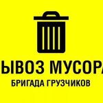 максим:  Вывоз мусора в Воскресенске