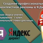Игорь:  Настройка и ведение рекламы Яндекс Директ РСЯ.