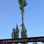 Виталий:  Спил деревьев , покос травы, расчистка участков