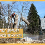 Никита Бирюков:  Выравнивание участков, Спил деревьев, Посев газона