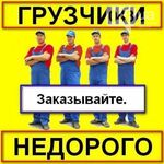 Юрий:  Грузчики Разнорабочие