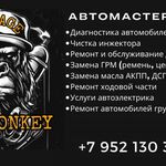 Пользователь:  Автомастерская BadMonkeyGarage 