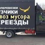 Грузлайн:  Вывоз мусора/Грузоперевозки/Грузчики 