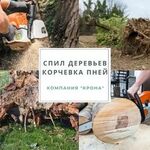 петр:  Спил деревьев любой сложности корчевка пней и обрезка