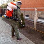 Олег:  Услуги садовника в Ростове