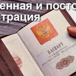 Светлана Владимировна:  Деловые услуги, помощь в оформлении документов
