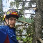 Илья:  Спилим деревьея профессионально