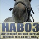 Доставка Газель Камаз:  грунт полевой, навоз ,перегной, чернозём ,земля, торфо-грунт