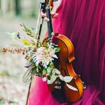 Раиса:  Скрипка на свадьбу 