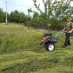 Виктор:  Покос травы, спил деревьев, вспашка земли мотоблоком