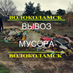 Женя:  Вывоз Мусора Волоколамск