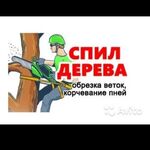 Денис:  Спил деревьев 