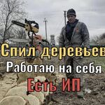 Илья:  Спил деревьев, расчистка участков 