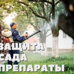 Наталья:  Услуги Садовника - Уход за Садом