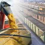 Руслан:   перевозка зерна вагонами под ключ 