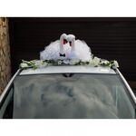 Лия Маняева:  Украшение на свадебный автомобиль 