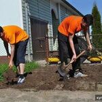 Алексей:  Разнорабочие на садовые и огородные, дачные работы 24