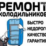 Александр Родионович:  Ремонт холодильников на Дому