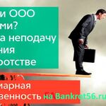 Анатолий Щербаков:  Субсидиарная ответственность -защита Ваших интересов
