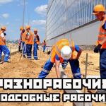 Тимур:  Разнорабочие / подсобники