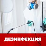 Иван:  Дезинфекция Дезинсекция Дератизация