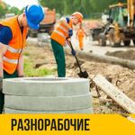 Александр:  Услуги разнорабочих