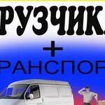 Андрей:  Грузчики Транспорт