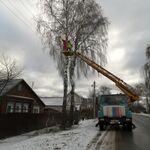 Анастасия:  Удаление деревьев 