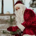 Алексей:  Дед Мороз и снегурочка на дом