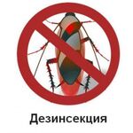 Александр:  Дезинфекция / дезинсекция / дератизация