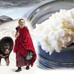 Татьяна Николаевна:  Тибетский молочный гриб