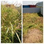 Дмитрий:  Покос травы в Краснодаре