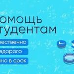 Диана:  Помощь студентам в учебе