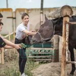 Сергей:  Прокат лошадей в Самаре КСК 