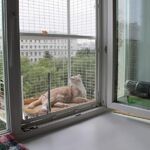 Сергей:  Балкончик для кошки