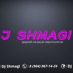 shmagi:  Dj на свадьбу в Арзамасе