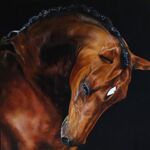 Вера:  Портрет животного.Картина в интерьер с лошадью
