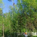 Геворг:  Спил и обрезка деревьев в Сергиев Посаде и районе 