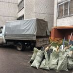 Виталий:  Вывоз мусора(уборка) 