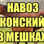 Антон:  Конский перегной в мешках 