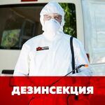 DService:  уничтожение насекомых