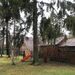 Андрей:  Спил и обрезка деревьев в Солнечногорском районе