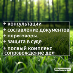 Наталья:  Услуги юриста в Новосибирске