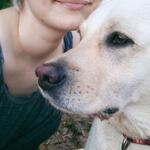 Евгения:  МУРИНО Выгул собак  любое время суток 